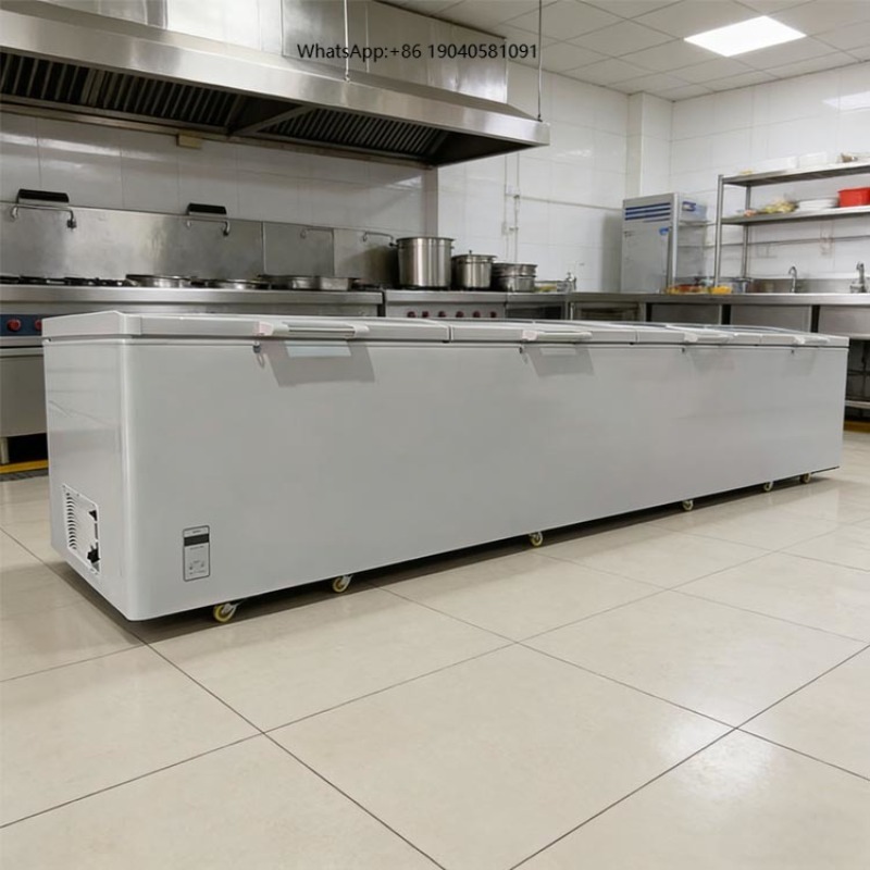 Congélateur coffre horizontal  - Commercial Chest Freezer avis et prix