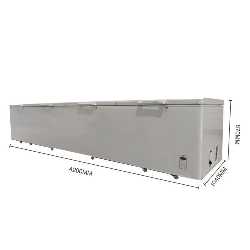 Congélateur coffre horizontal  - Commercial Chest Freezer avis et prix